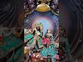 Vrindavan Ki Gali Gali Mein Dhum Machi Hai Bhari Radhe Krishna Status Video Shorts Radhekrishna