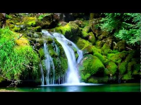 Shiatsu ~ 'Ajna' ~ Spiritual Vitamins ~ Mind, Body and Soul ~ Shiatsu Massage ~ Blue Dot Music