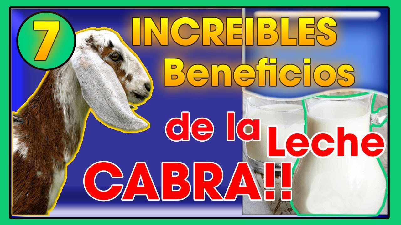Watch LECHE de cabra 7 increÃbles BENEFICIOS de esta | Ing. Jannin Hernández Blandón Now LECHE de cabra 7 increÃbles BENEFICIOS de esta | Ing. Jannin Hernández Blandón