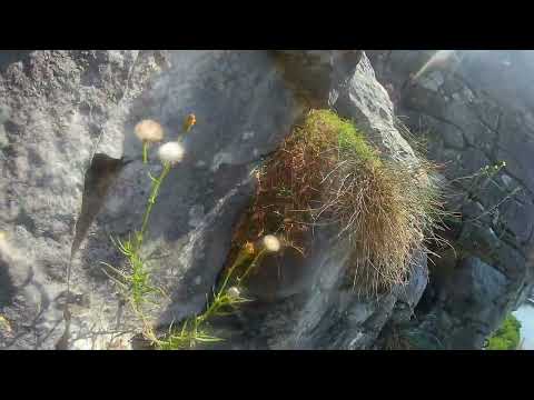 Via Ferrata Grands-Malades Be (D)