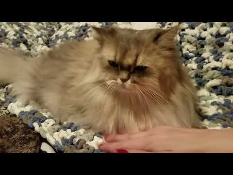 Sweet dreams & Sleep with The Angels 😇