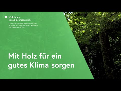 Mit Holz für ein gutes Klima sorgen