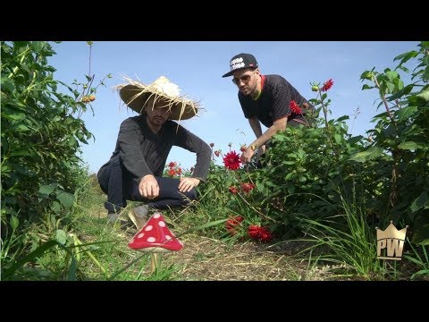 Phil Weeks presents Underground Chronicles Season 4 Episode 4