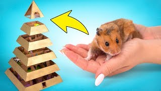 Un divertido laberinto - pirámide de 6 niveles para tu hamster