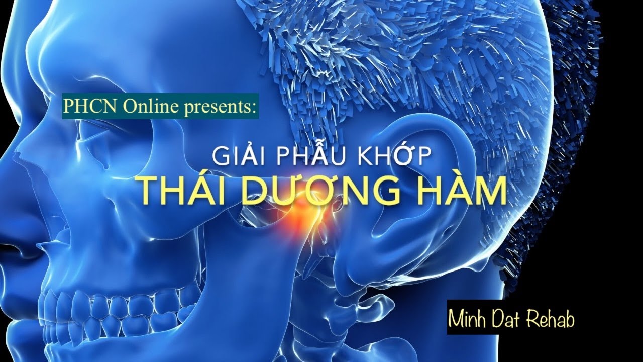 Giải phẫu khớp thái dương hàm