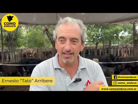 Ernesto “Tato” Arribere. Arribere Ugarte y Cía. Rauch 5/2/26.