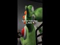 Yoshi
