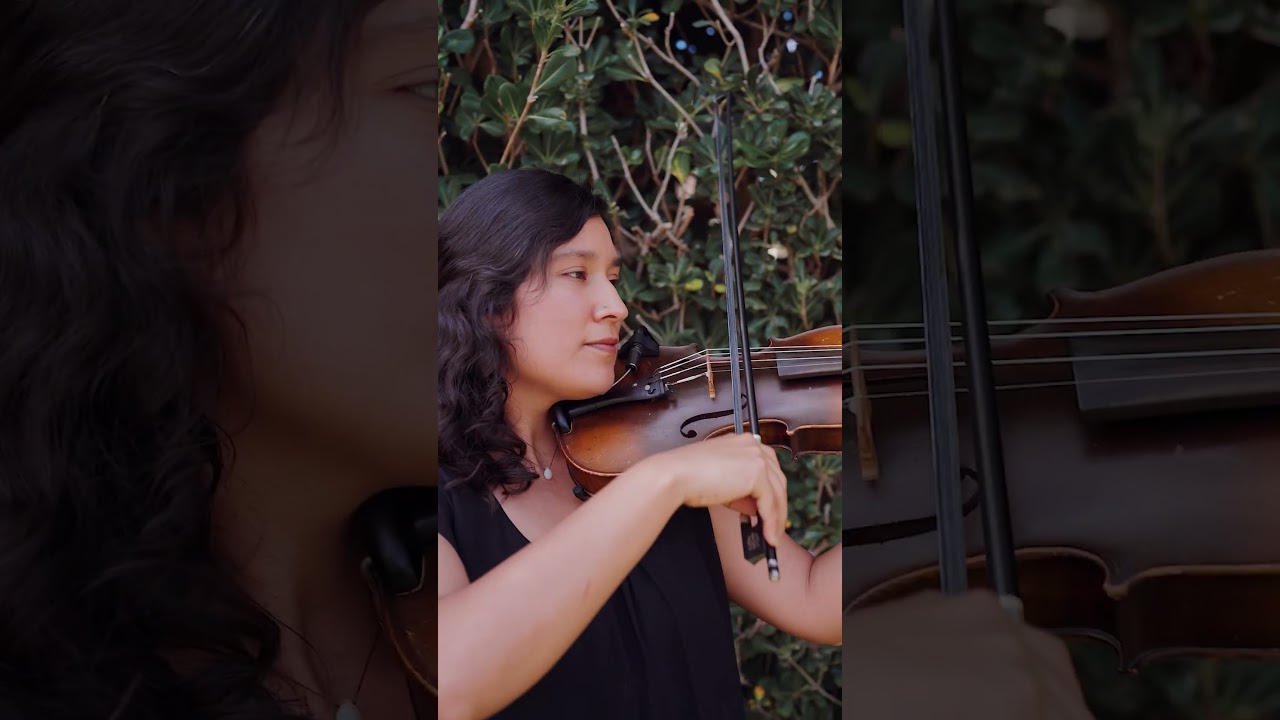 Promotional video thumbnail 1 for Eli Ann Music