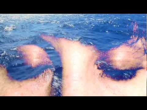 Mara Haseltine for Tara Oceans