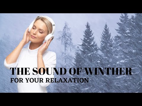 Blizzard Snowstorm & Arctic Howling Wind Sounds for Sleeping, Relaxing, & Insomnia