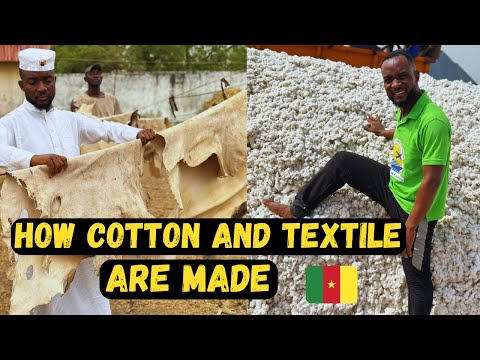 You Won't Believe How Textile is Produced in Cameroon - Cotton and Textile Production in the North.