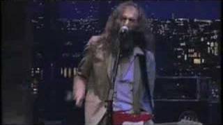 Grinderman (Nick Cave) on Letterman Honey Bee