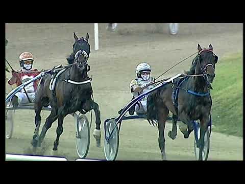 Napoli Trotto 30/05/2021 - 7ª corsa