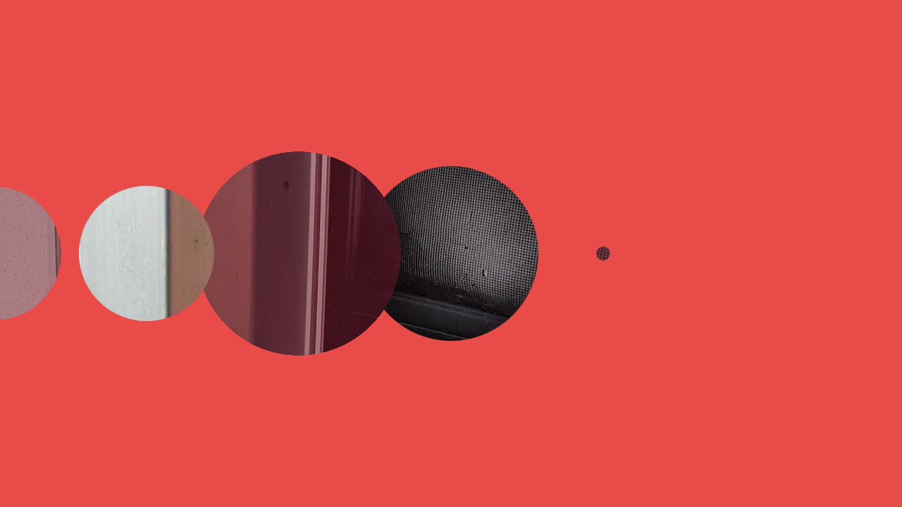 TERRO Spider Killer Review