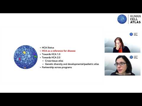 HCA General Meeting 2021 (virtual) - State of HCA