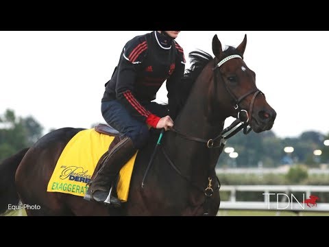 First Yearlings for Exaggerator in 2019