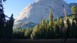 难忘的一天 (cover)