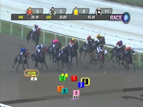Dr Edgard en Kranji Stakes C 29/03/2013