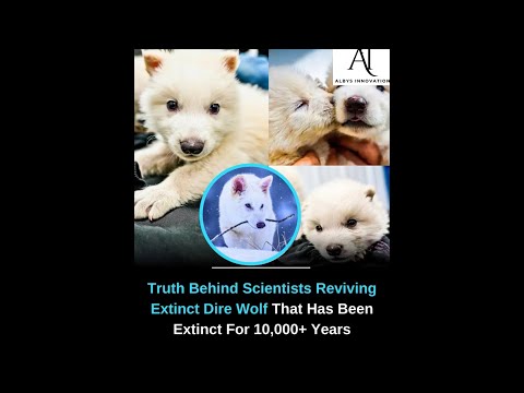 Dire Wolves Return? Scientists Revive Extinct Predator Using Ancient DNA in Groundbreaking Genetic