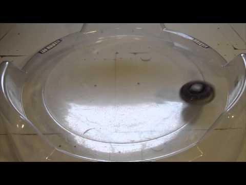 Galaxy Pegasis W105R2F VS. Gravity Perseus AD145WD