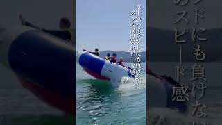 ハクタカマリン