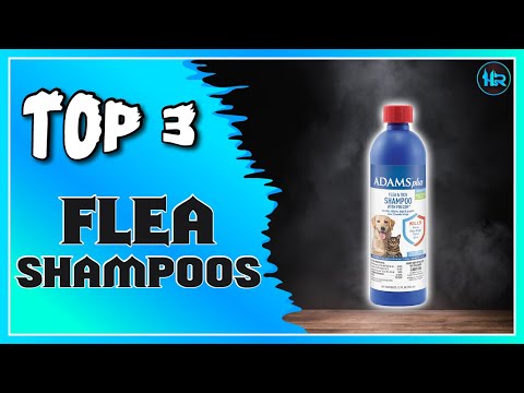 Best Flea Shampoos Recommended