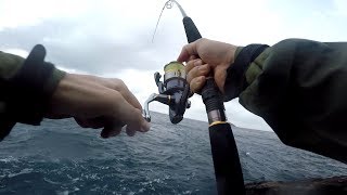 Major craft skyroad shore jigging