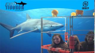 DIA 3 Expo Tiburon134