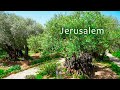 Jerusalem Garden Of Gethsemane Pools Of Bethesda And Lutheran Church Of The Redeemer