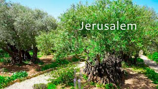 Download lagu Jerusalem: Garden of Gethsemane, Pools of Bethesda and Lutheran Church of the Redeemer. mp3 Download lagu Jerusalem: Garden of Gethsemane, Pools of Bethesda and Lutheran Church of the Redeemer. mp3