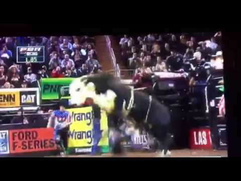 full brother to rango