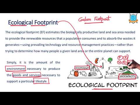 What is Ecological Footprint ? || Ecological Footprint అంటే ఏమిటి?