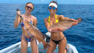 Offshore Fishing St. Pete | PB Mangrove Snapper!