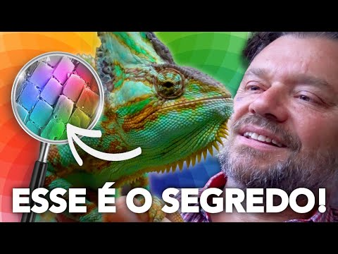 ESSE É O SEGREDO DO CAMALEÃO! | RICHARD RASMUSSEN