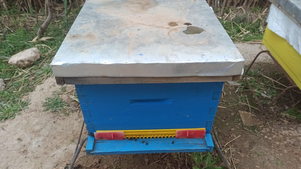 تطور رائع بعد فحص الخلية اليوم  بتاريخ 2026/02/28