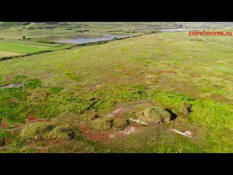 Video, vulcanii noroiosi din satul Boz, judetul Alba
