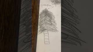 plants that are extinct today 🌲🌴🌳￼