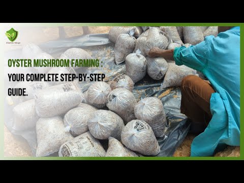 Oyster Mushroom Farming : Your Complete Step-by-Step Guide.