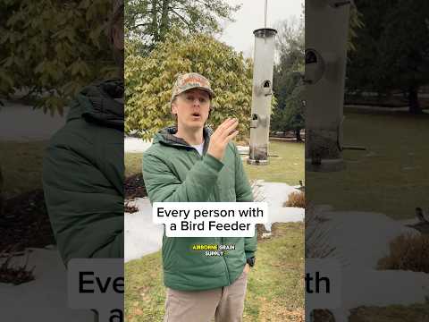 What Happens When Someone Gets a Bird Feeder - Neatorama