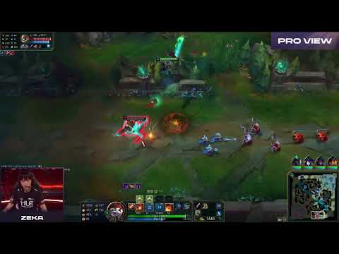 Zeka Pro View | NS vs HLE | LCK 2024 Spring