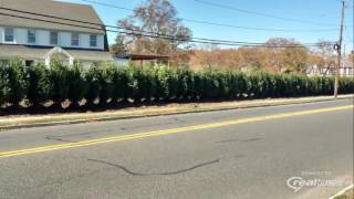 Skip Laurels Hedge Installation, Living Fence in Deal, NJ