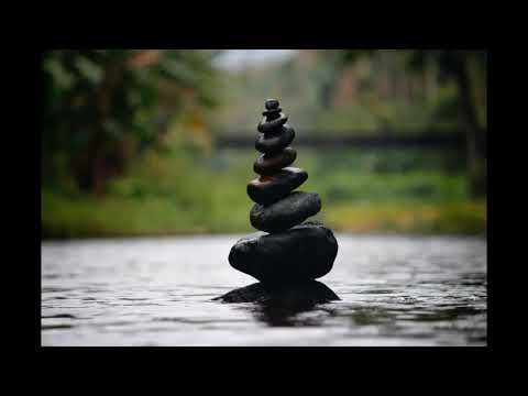 Sleep Music With Ocean and Jungle Sounds | Just Relax