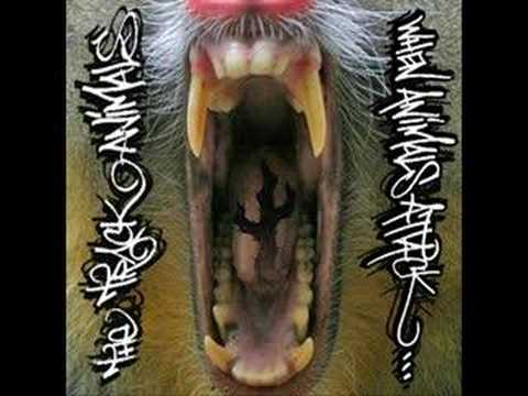 The Track Animals - Painkillaz
