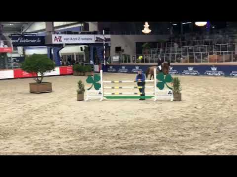 Ilone Sinaa GPH {Zirocco Blue]