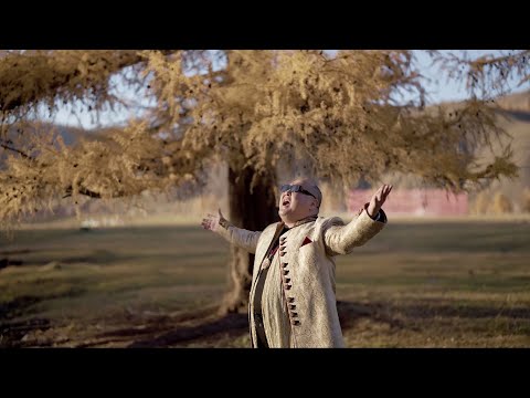 Т.Дэлгэрмөрөн - Гэртээ ирлээ...