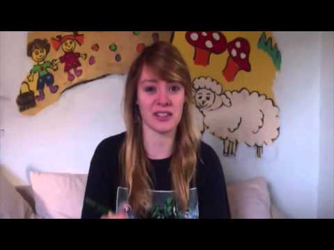 Lecarrow Lessons- Introduction to the Irish Tin Whistle #1