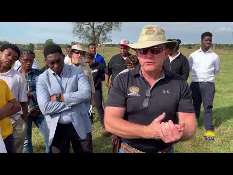 Adaptive Grazing. Forage Density, Paddock Size, and Animal Movement