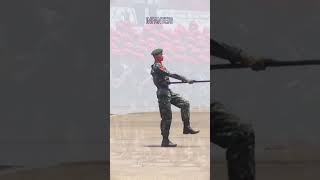 Download lagu Defile Pasukan TNI AD mp3