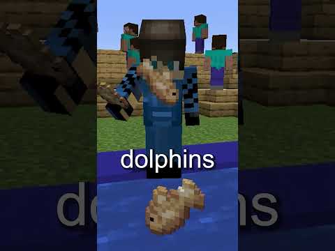 Stay Shorts - The Happy lore Of The Dolphin In Minecraft