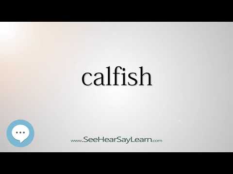 calfish